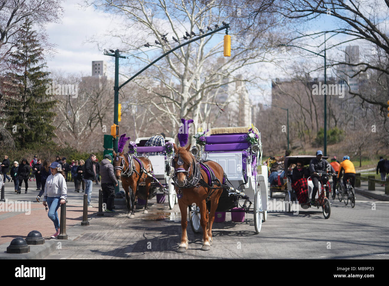 New York, USA. 8. April 2018. Leute genießen sonnige Wetter im Frühling im Central Park, New York. Foto Datum: Sonntag, 8. April 2018. Foto: Roger Garfield/Alamy Unterhaltung Quelle: Roger Garfield/Alamy leben Nachrichten Stockfoto