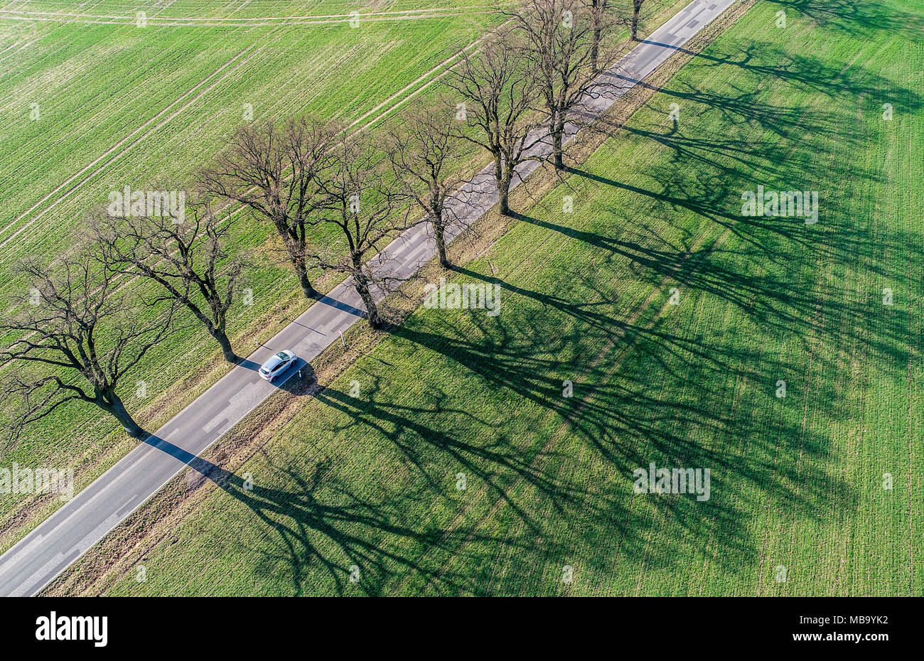 09 April 2018, Deutschland, Sieversdorf: ein Auto fährt auf einer Landstraße, mit den Bäumen entlang der Avenue werfen lange Schatten über das angrenzende Feld. Nach einer außerordentlich langen Winter, des Deutschen Wetterdienstes (DWD) Prognosen mildes Wetter, Sonnenschein und 19 bis 23 Grad Celsius. Foto: Patrick Pleul/dpa-Zentralbild/dpa Stockfoto