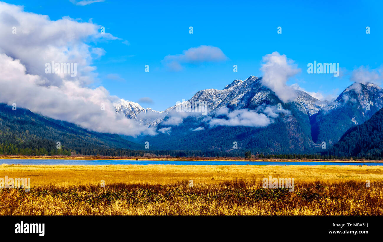 Die verschneite Küste Berge um Pitt-Addington Marsh bei Pitt See im Fraser Valley in der Nähe von Maple Ridge, British Columbia, Kanada Stockfoto