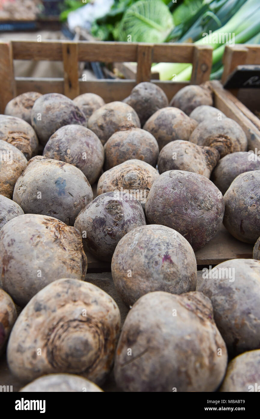 Rote Beete zum Verkauf an der Sussex Bauer mobile Farm Shop neben dem Pfefferstreuer im Queens Park in Brighton. Stockfoto