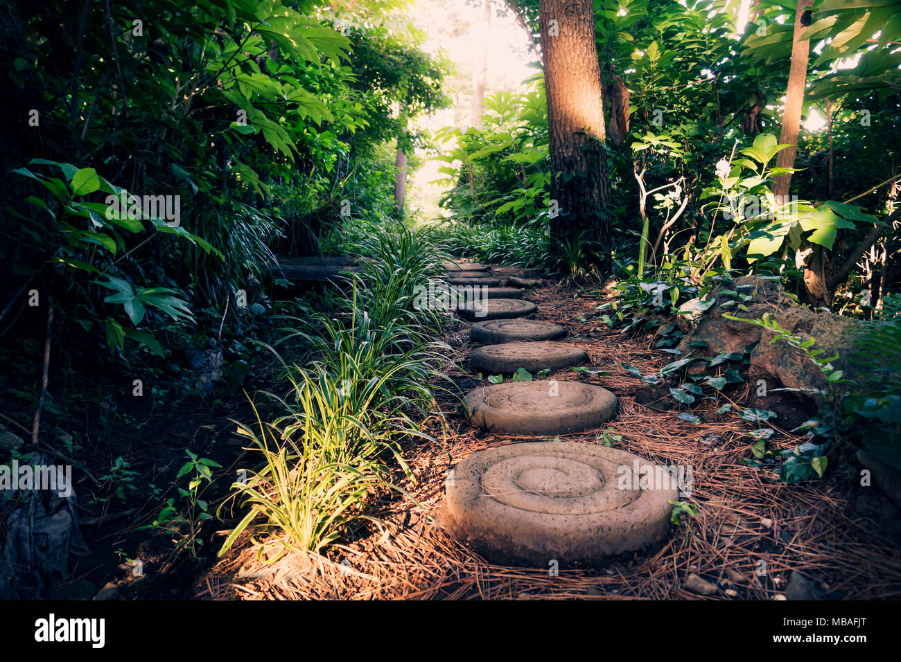 Runde Steine entlang Olle Weg durch den grünen Wald, Seogwipo, Jeju Island, Korea Stockfoto