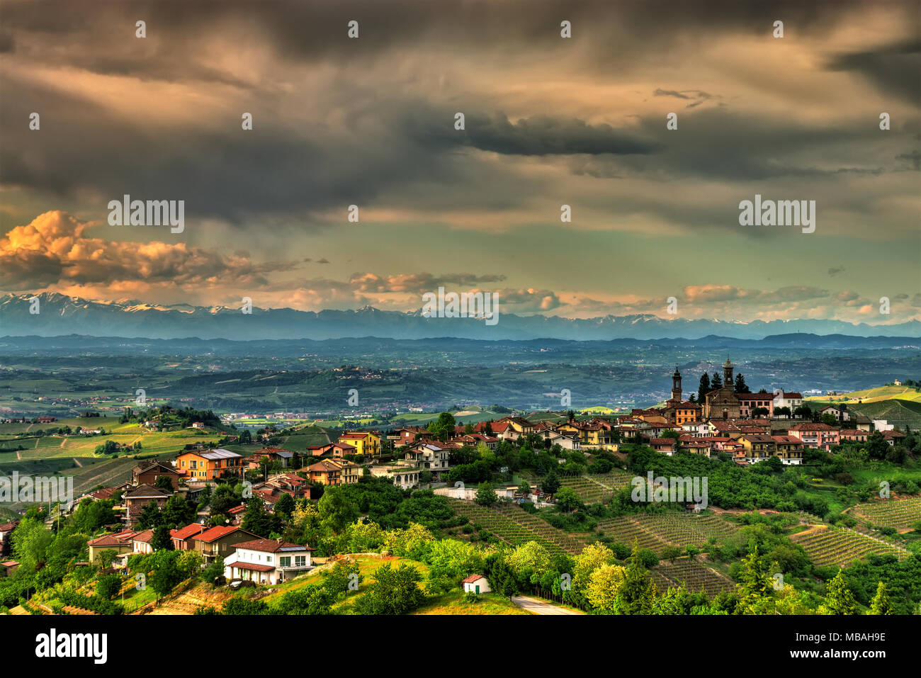 Das Dorf Rodello, in der Langhe (Piemont, Italien), von Hügeln mit Weinbergen umgeben und im Hintergrund die Alpen. Stockfoto