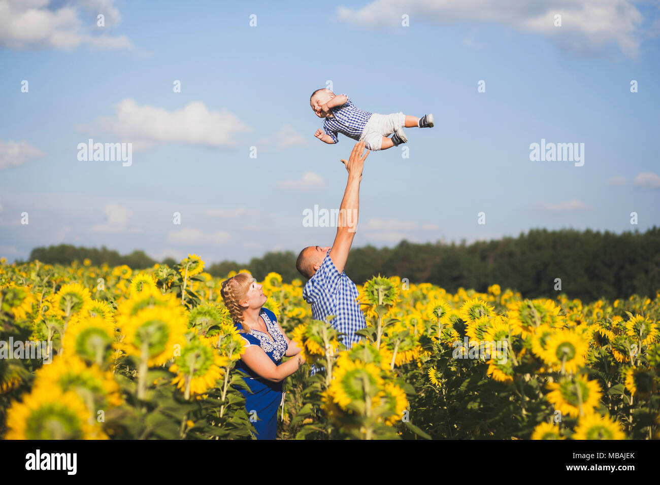 Glückliche junge Familie von drei kaukasischen Personen außerhalb Spaß an schönen, sonnigen Sonnenblumenfeld. Vater werfen süße kleine Babys bis hoch in die Luft. Uhr Stockfoto