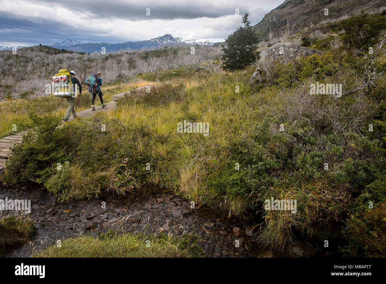 Wanderer Wandern, zwischen Campingplatz Italiano und Paine Grande Zuflucht, Torres del Paine Nationalpark, Patagonien, Chile Stockfoto