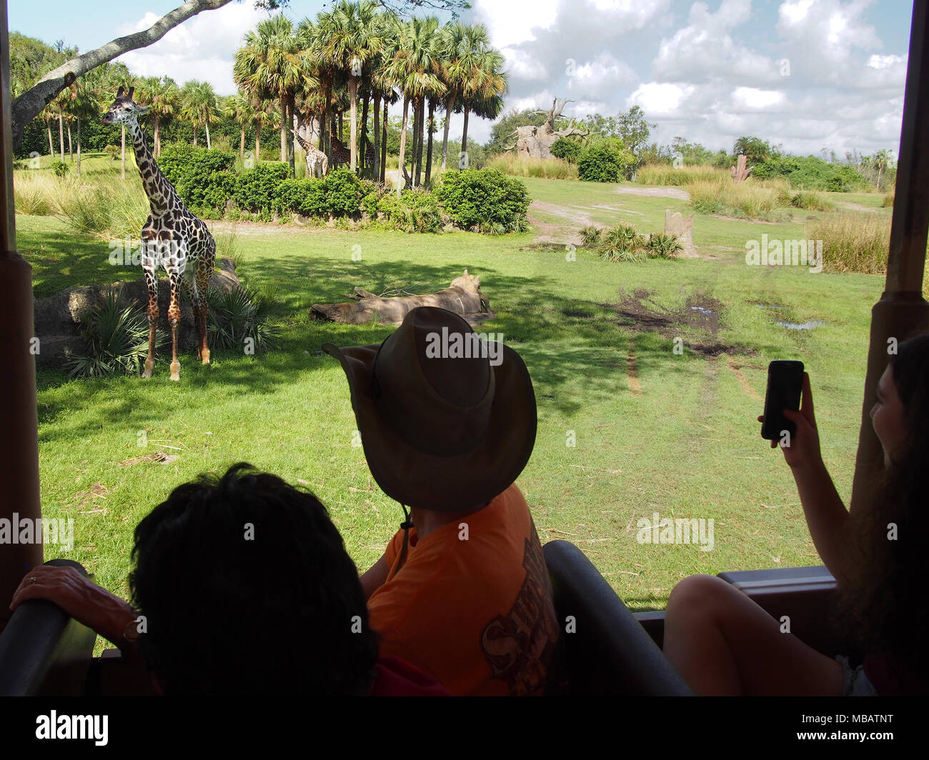 Walt Disney World Animal Kingdom Besucher beobachten, eine Giraffe, Orlando, Florida 2017 © katharine Andriotis Stockfoto