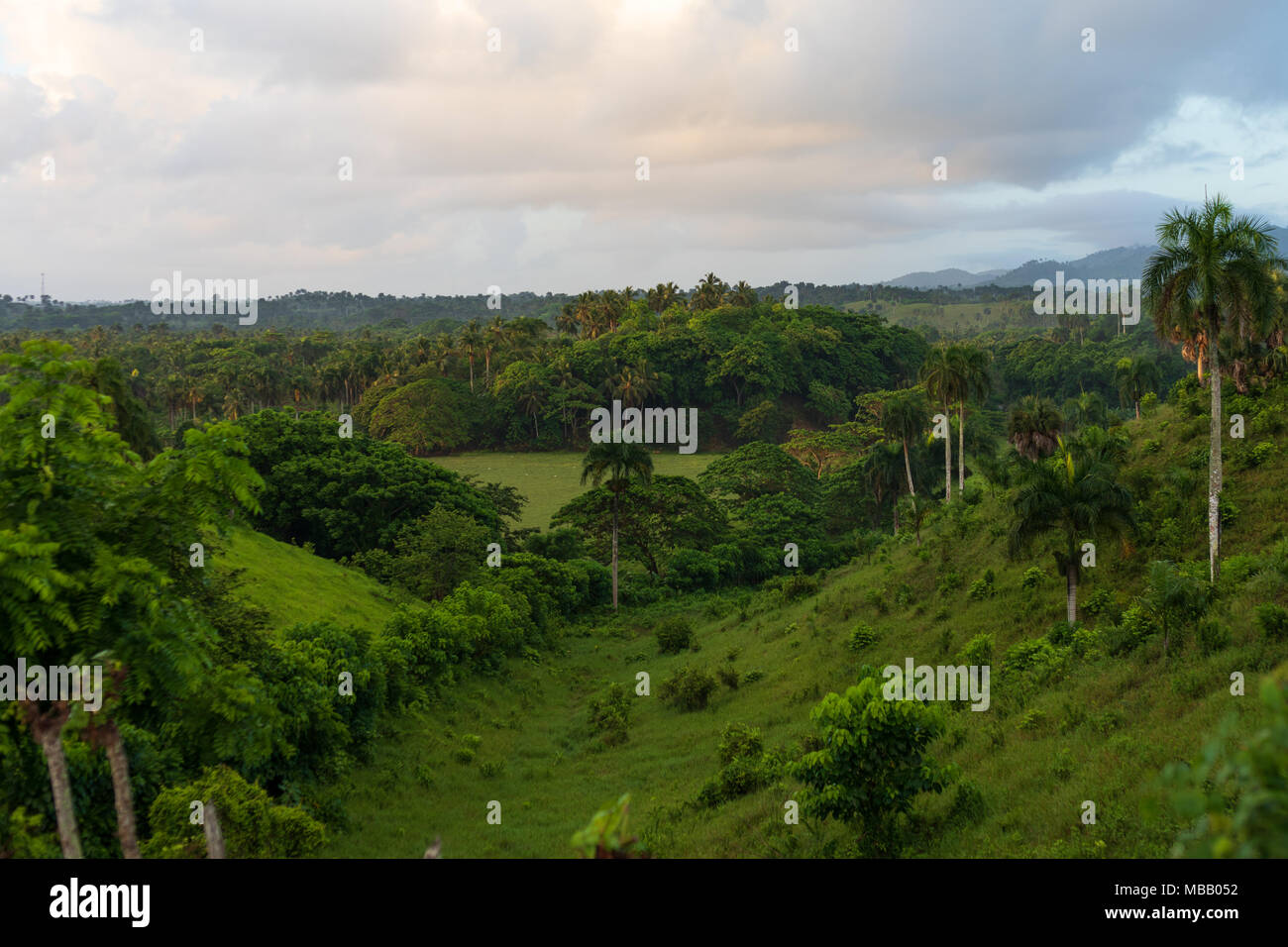 Die üppigen tropischen Tal in der Dominikanischen Republik Stockfoto