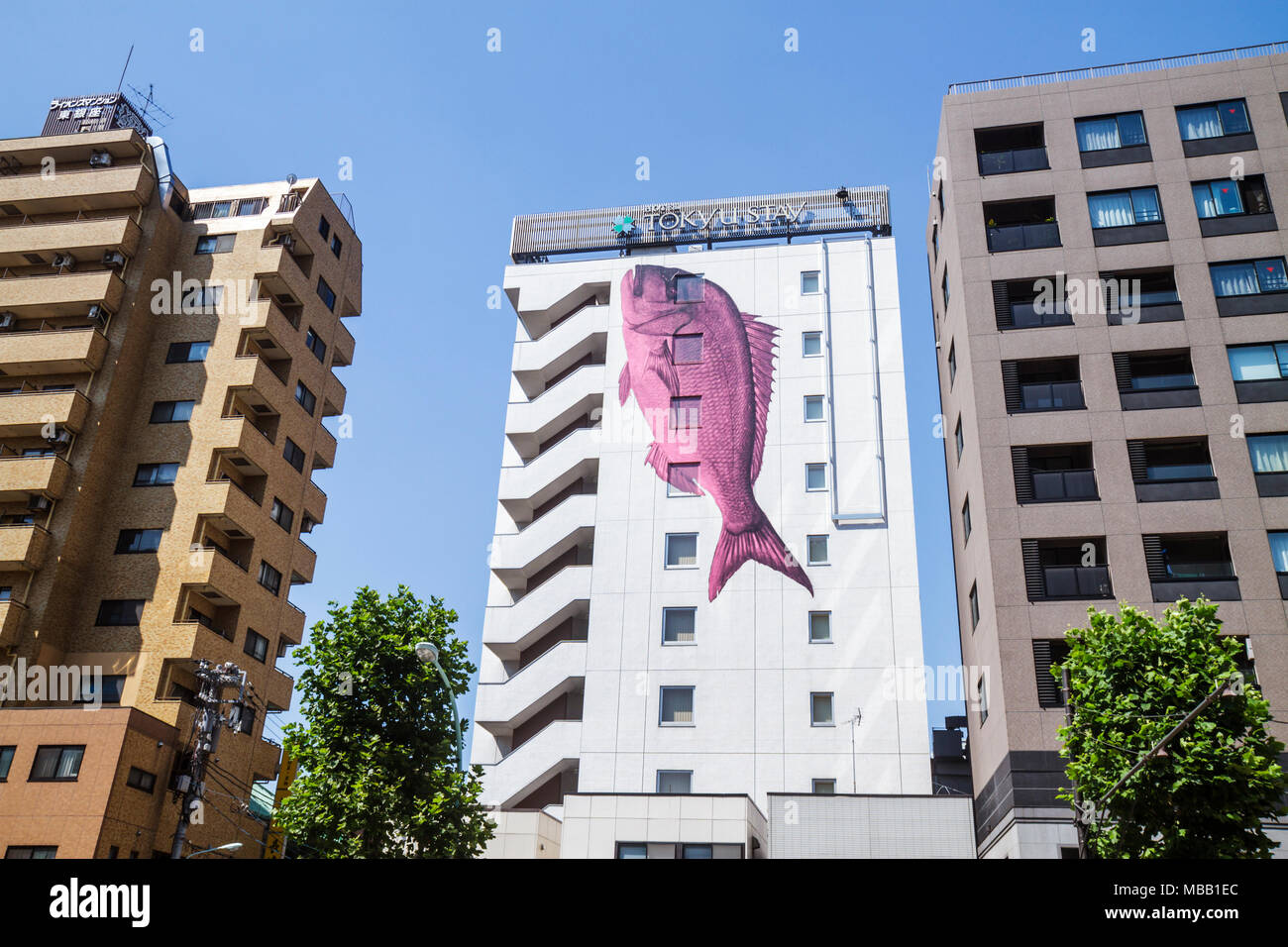 Tokio Japan, Asien, Orient, Tsukiji, Shin ohashi dori, Straße, Aufenthalt in Tokyu, Hotelhotels, Motel Motels, riesiges Fischgemälde, in der Nähe des Tsukiji Fischmarktes, hig Stockfoto