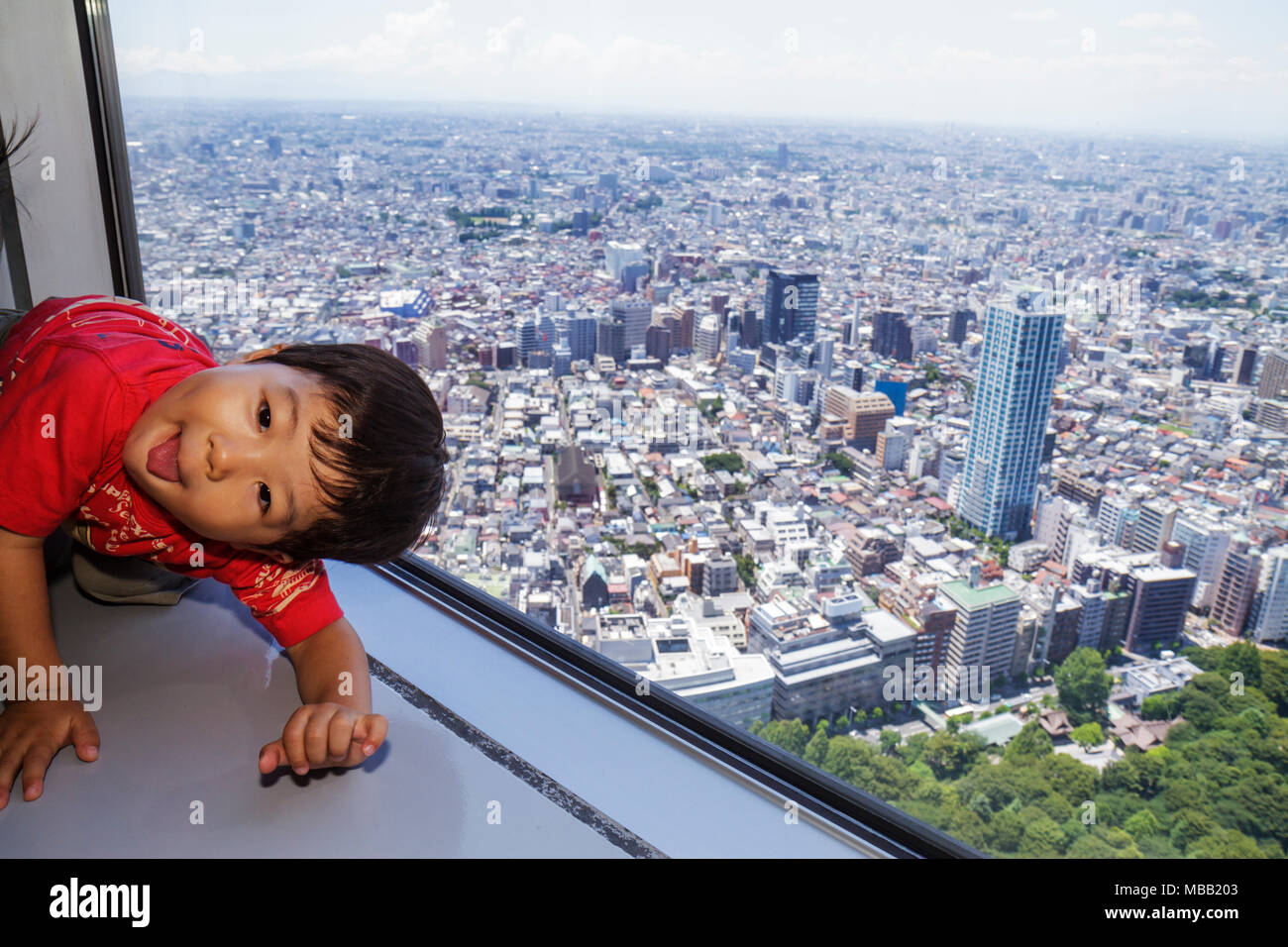 Tokio Japan, Asien, Orient, Shinjuku, Tokyo Metropolitan Government Office No. 1 Hauptgebäude, Observatorium, 45. Stock, Luftaufnahme, Fenster, Skyline der Stadt citysc Stockfoto