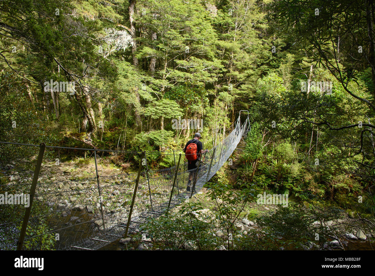 Wandern Die Catlins River Track, Southland, Neuseeland Stockfoto