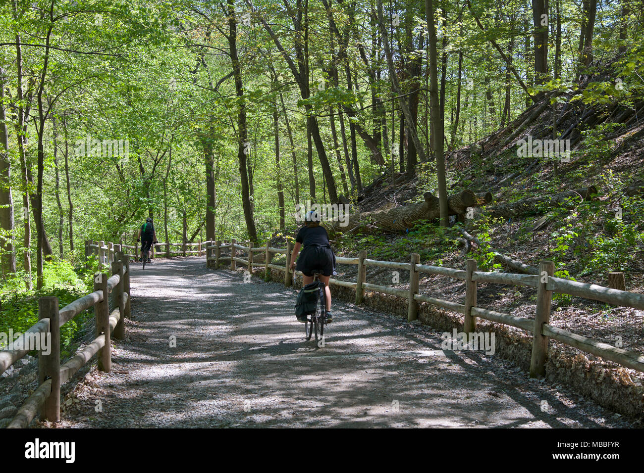 Radfahrer auf dem Waldweg - ein Familienausflug mit dem Fahrrad in üppiger grüner Natur Stockfoto