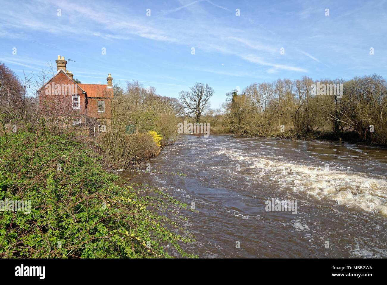 Der Fluss Wey in der Flut an Walsham wehr Ripley Surrey England Großbritannien Stockfoto