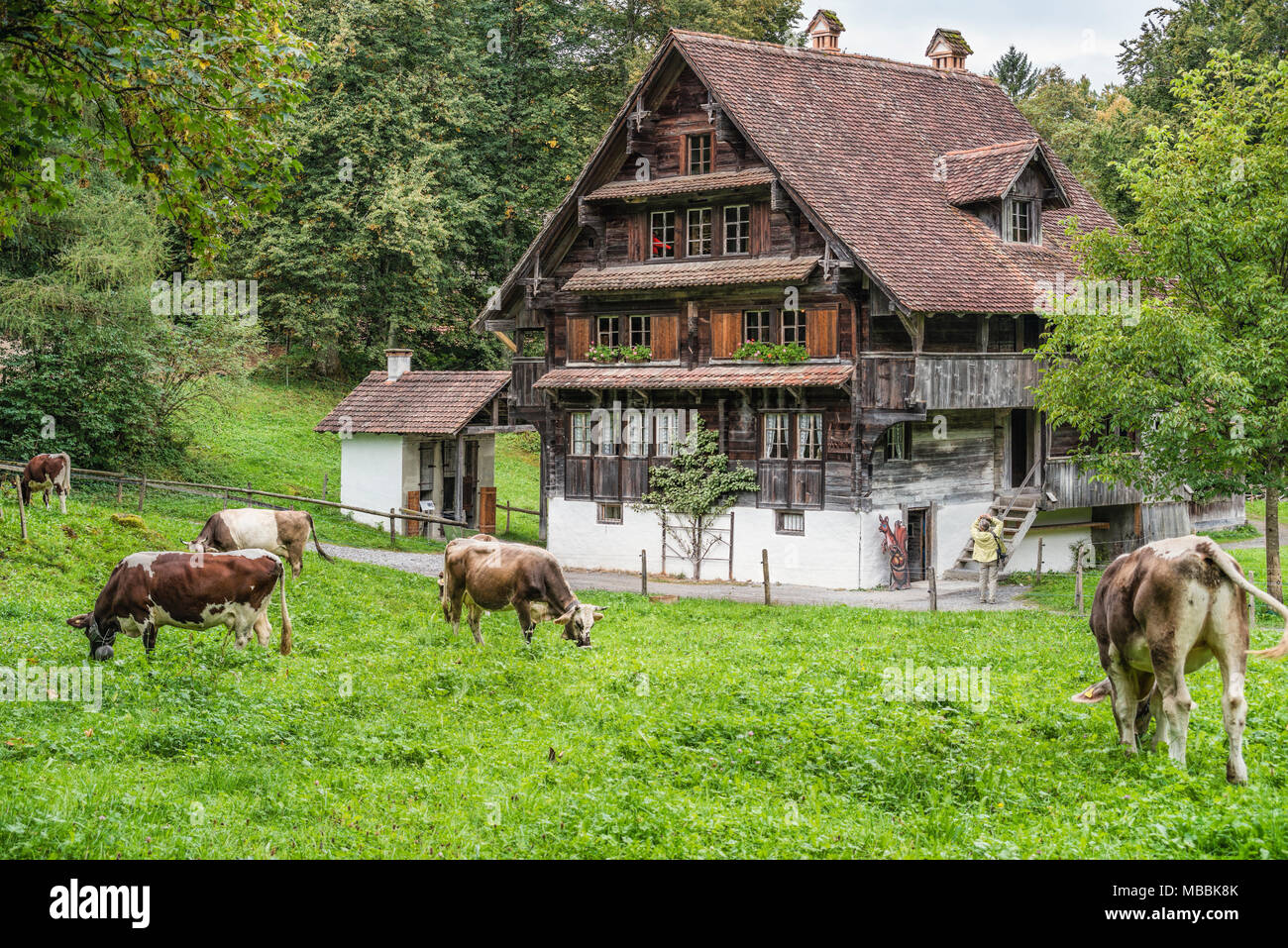 Bauernhaus im Freilichtmuseum Ballenberg, Berner Oberland, Schweiz Stockfoto
