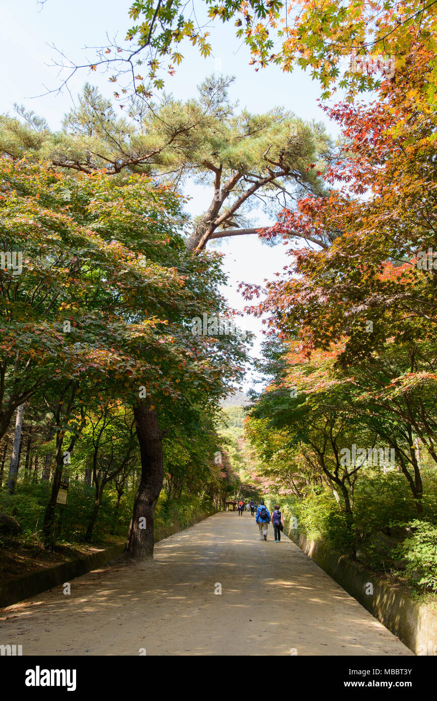 MUNGYEONG, KOREA - Oktober 14, 2014: Touristen in mungyeongsaejae Pass im Herbst. Mungyeongsaejae war ein Pass in der alten Zeit und es ist berühmt Attr Stockfoto