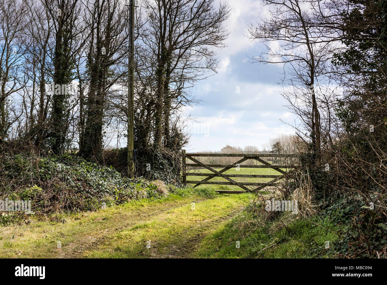 Eine hölzerne Tor 5 bar über dem Eingang zu einem Feld in Newquay Cornwall. Stockfoto