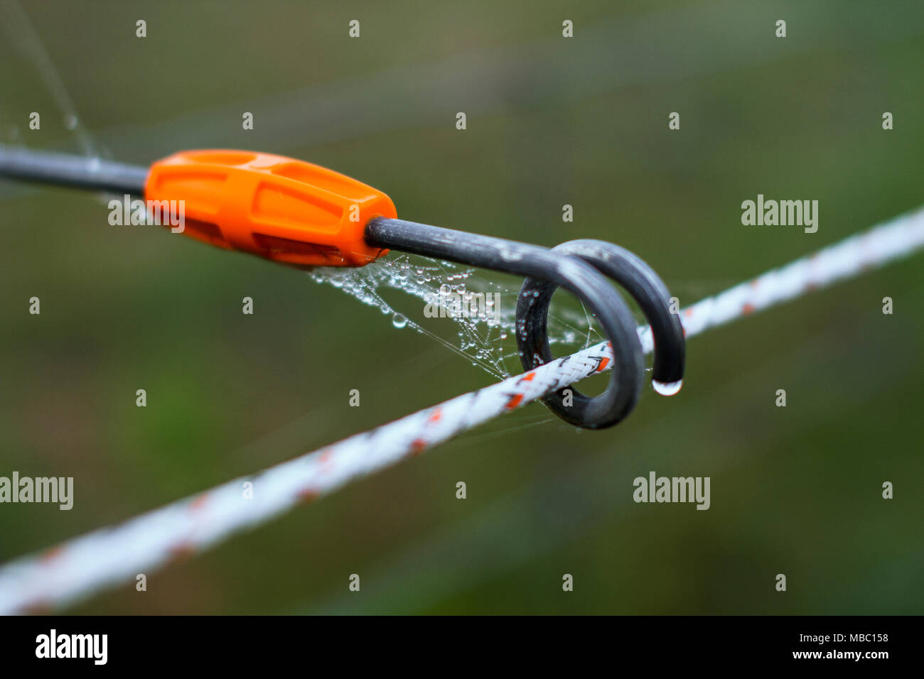 Elektrischen Zaun in den nebligen und nebliger Morgen mit einer Dekoration einige Spinnweben Stockfoto