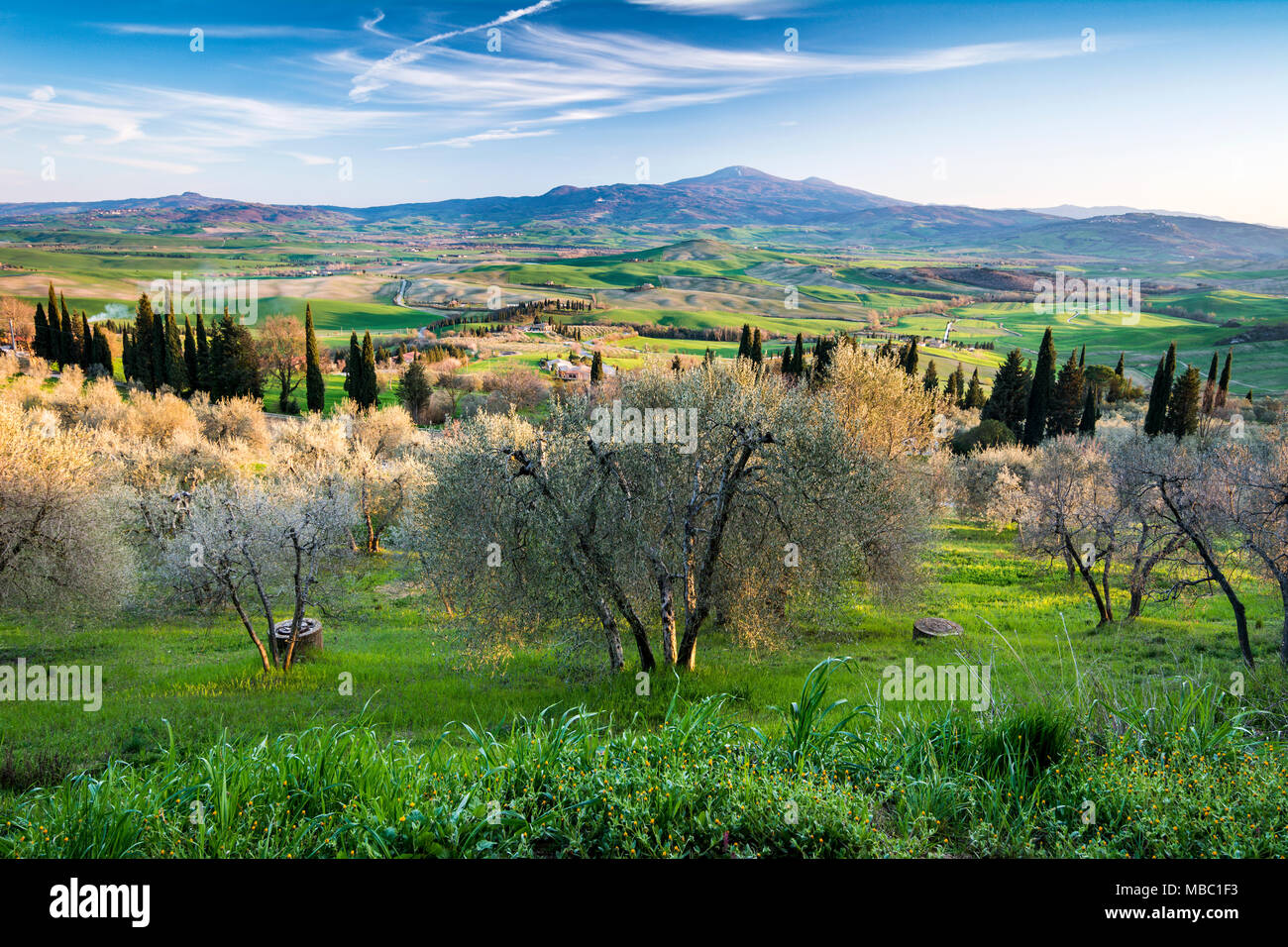 Blick von Pienza in der Toskana über das Val d'Orcia Stockfoto