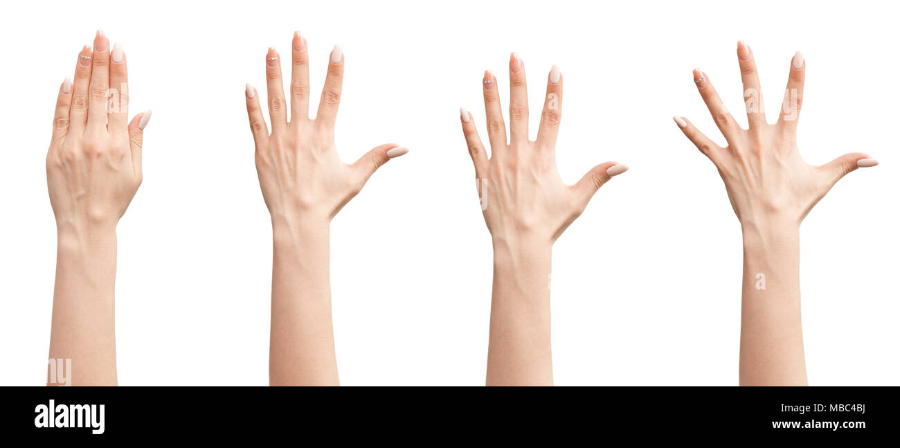 Satz von weiblichen Händen Stockfoto