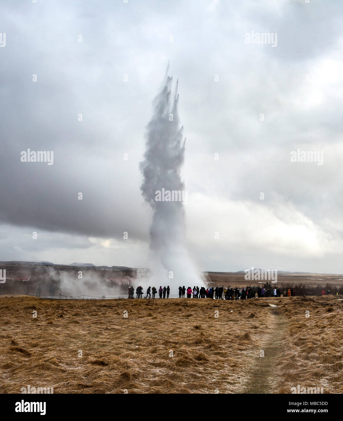 Leute, die den Ausbruch der Geysir Strokkur, Haukadalur geothermische Feld, Golden Circle, South Island, Island Stockfoto