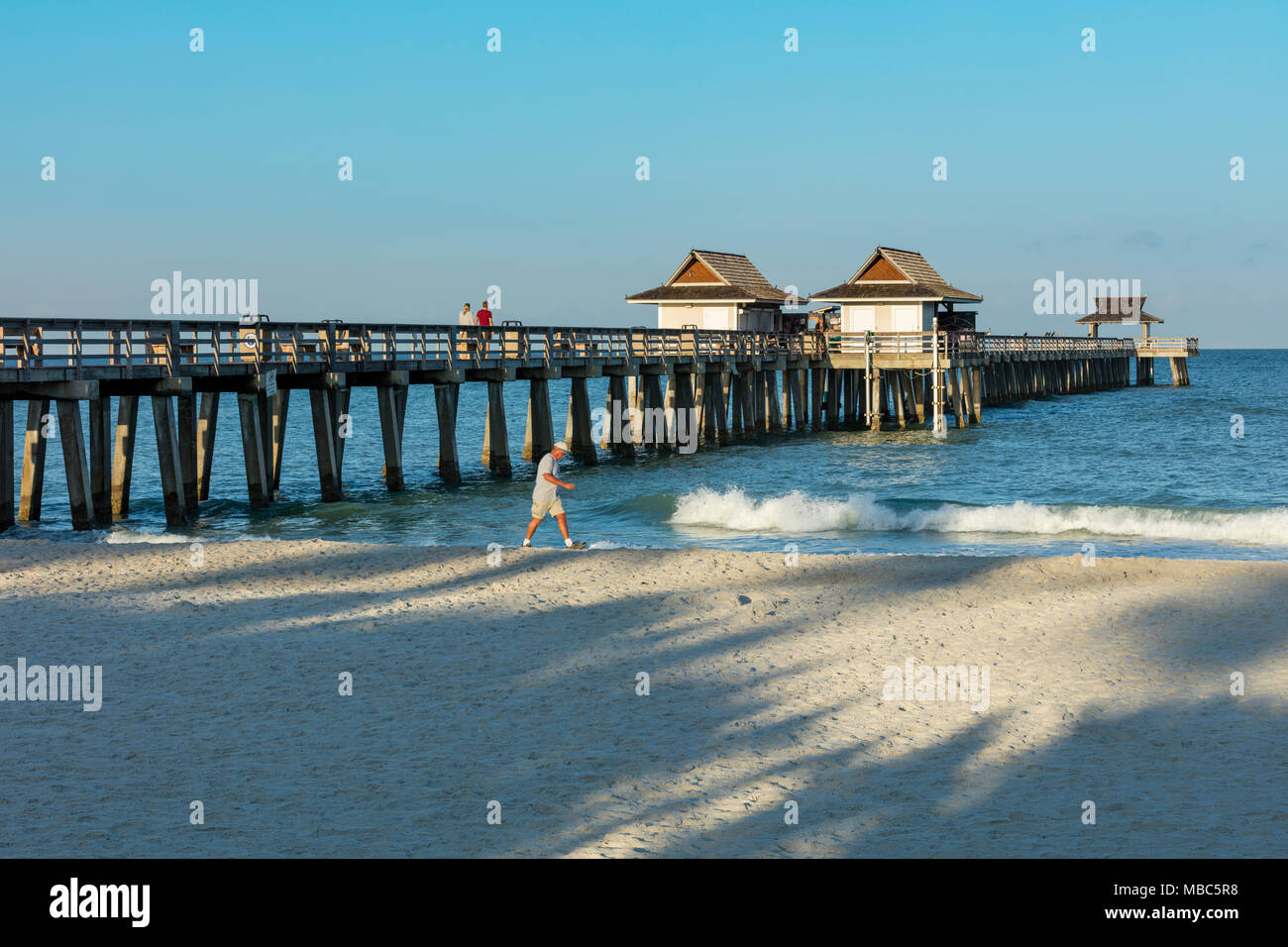 Früh morgens am Naples Pier entlang der Florida Gulf Coast, Naples, Florida, USA Stockfoto