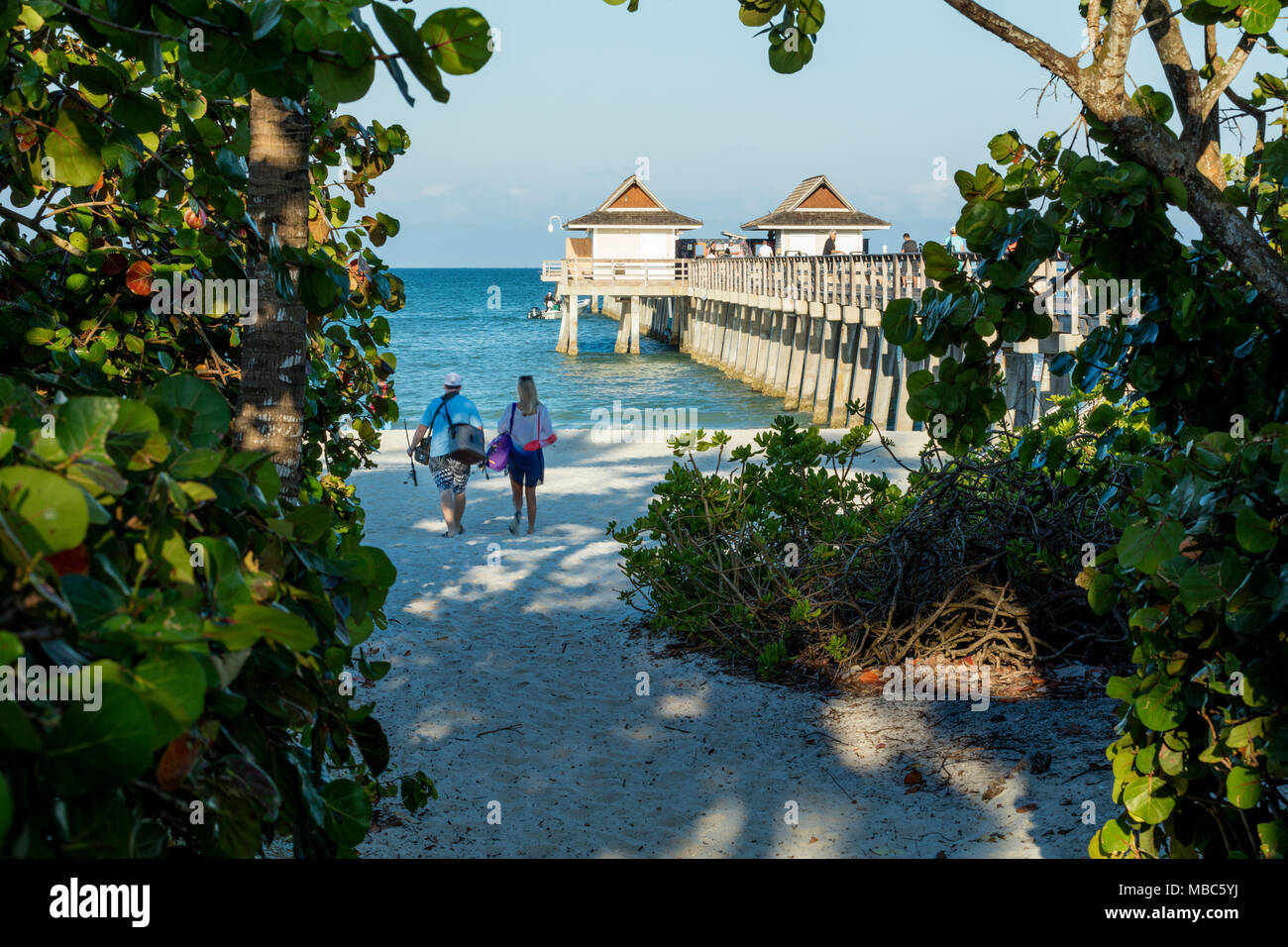 Früh morgens am Naples Pier entlang der Florida Gulf Coast, Naples, Florida, USA Stockfoto