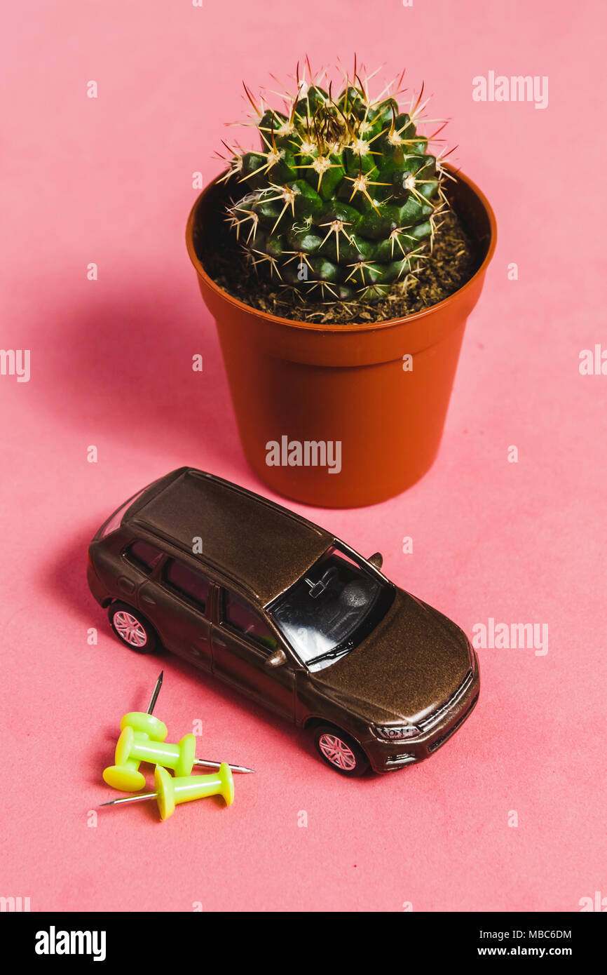 Closeup Kaktus in Braun Vase mit Modell Auto auf Rosa Backgrounf. Bild fr  Natur, Niemand, Sommer, Garten Konzept Stockfotografie - Alamy