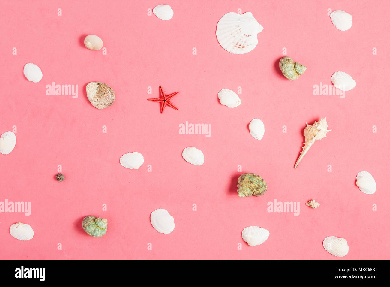 Sammlung der Muscheln und Seesterne auf Rosa Hintergrund. Stockfoto