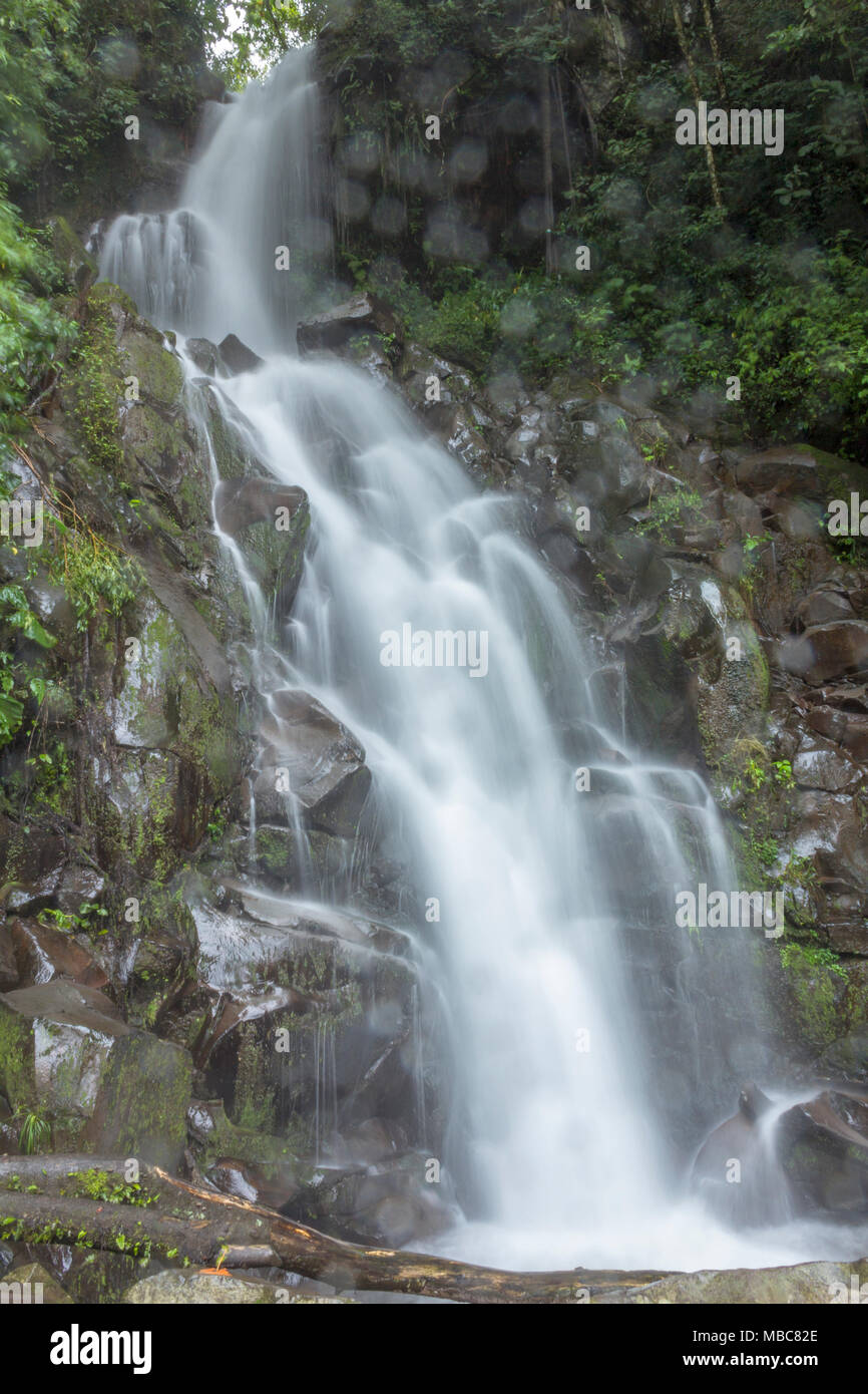 San Ramon fällt, einen Wasserfall über Boquete, Panama, nach einem schweren Niederschlag Stockfoto