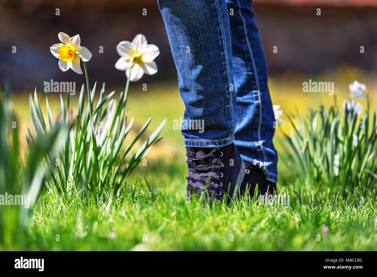 Sport Schuhe auf ein frisches grünes Gras. Stockfoto