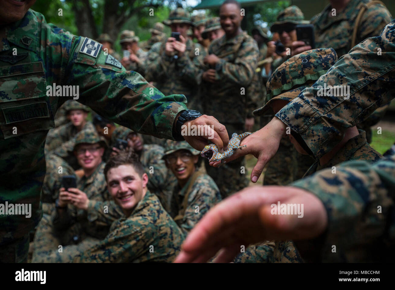 Us-Marines mit Kilo Unternehmen, 3.BATAILLON, 3. Marine Regiment, Kilo Unternehmen beobachten und ein Dschungel gecko am Lager Ban Chan Khrem, des Königreichs Thailand, 19.02.2018. Die grundlegenden Dschungel überleben Fähigkeiten Kurs vorbereiten Marines für Operationen in der rauen Umgebung. Cobra Gold 18 ist eine jährliche Übung im Königreich Thailand durchgeführt und läuft vom 13-23 Februar mit sieben voll teilnehmenden Nationen. (U.S. Marine Corps Stockfoto