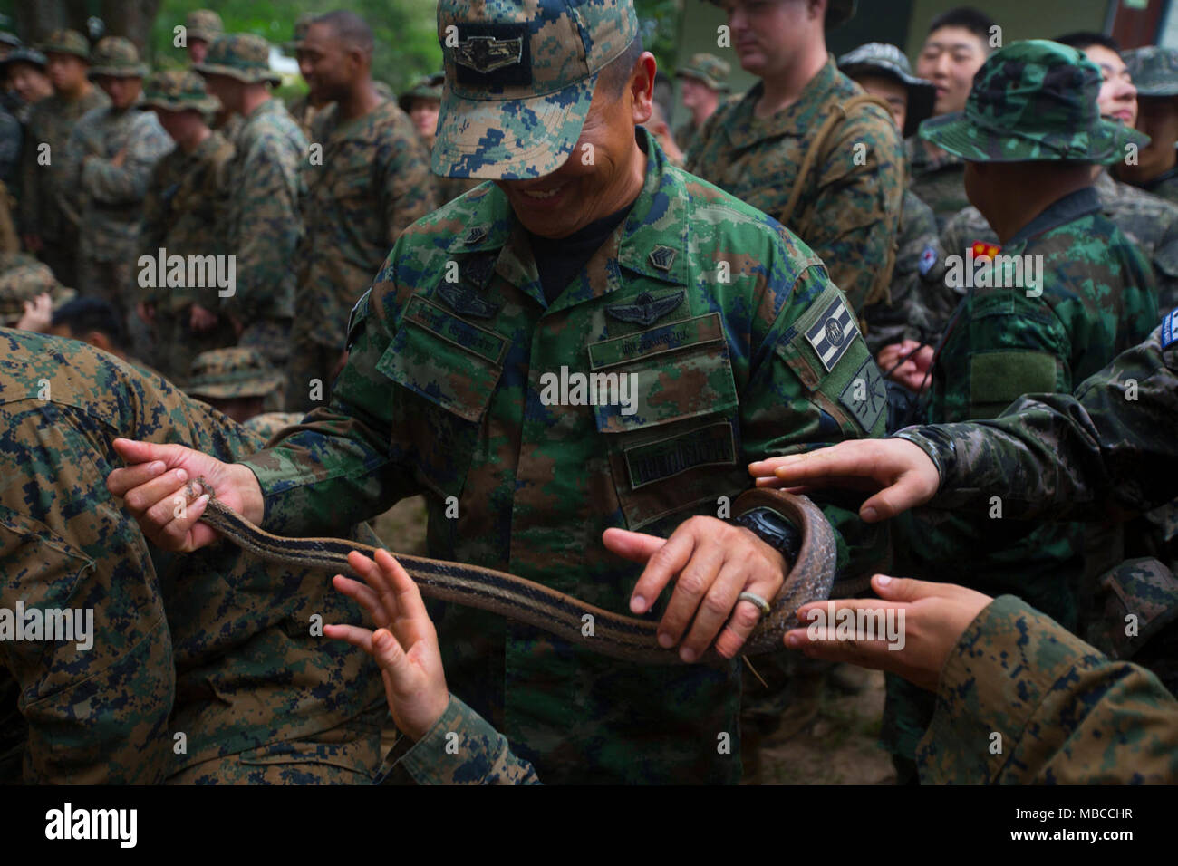 Us-Marines mit Kilo Unternehmen, 3.BATAILLON, 3. Marine Regiment, Kilo Unternehmen beobachten und ein Dschungel Schlange am Lager Ban Chan Khrem, des Königreichs Thailand, 19.02.2018. Die grundlegenden Dschungel überleben Fähigkeiten Kurs vorbereiten Marines für Operationen in der rauen Umgebung. Cobra Gold 18 ist eine jährliche Übung im Königreich Thailand durchgeführt und läuft vom 13-23 Februar mit sieben voll teilnehmenden Nationen. (U.S. Marine Corps Stockfoto