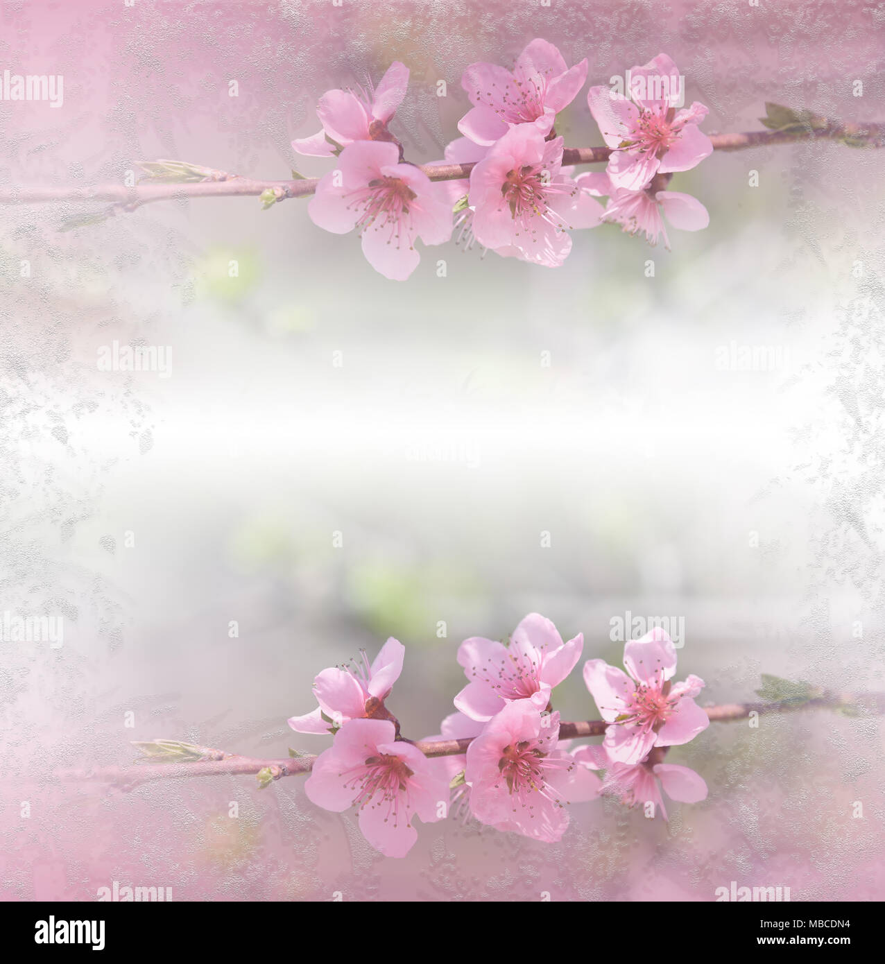 Kunst Abstrakte spring floral background für Design. die Feder Grenze Hintergrund mit rosa Blüte. Ruhige closeup Kunst Fotografie. Floral fantasy Design. Stockfoto