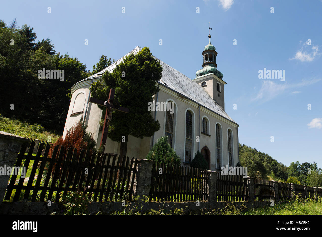 Kolbe baum -Fotos und -Bildmaterial in hoher Auflösung – Alamy