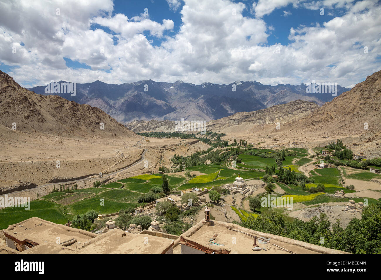 Blick vom Kloster Likir ist typisch für Ladakh... bone dry Land außer, wo Bäume und Pflanzen aufgrund von in der Nähe befindlichen Gewässer Feuchtigkeit wachsen kann Stockfoto