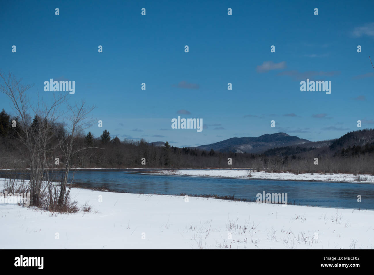 Ein Blick auf die Sacandaga River in den Adirondack Mountains, NY, USA Stockfoto