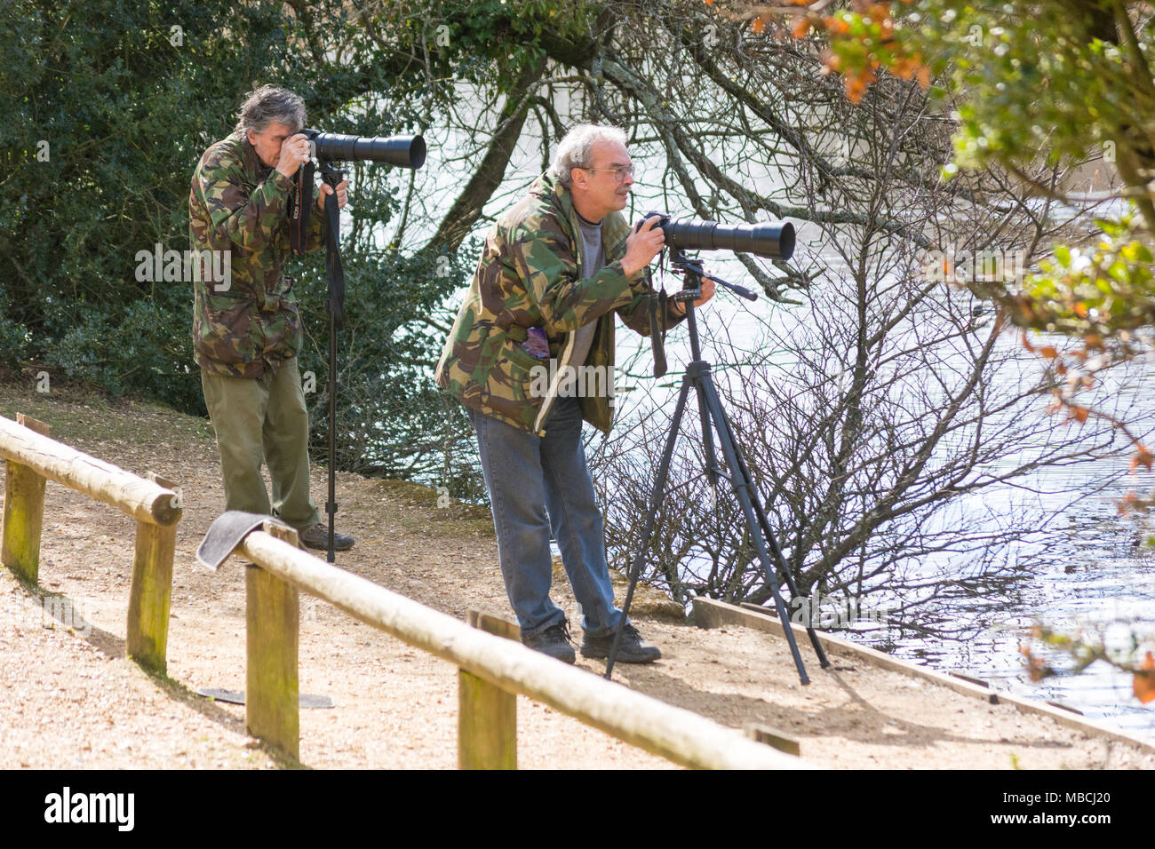 Vogelbeobachter mit Kameras und Objektive Stative warten geduldig Vogel Fotos neben Eyeworth Teich, Fritham, New Forest, Hampshire nehmen Stockfoto