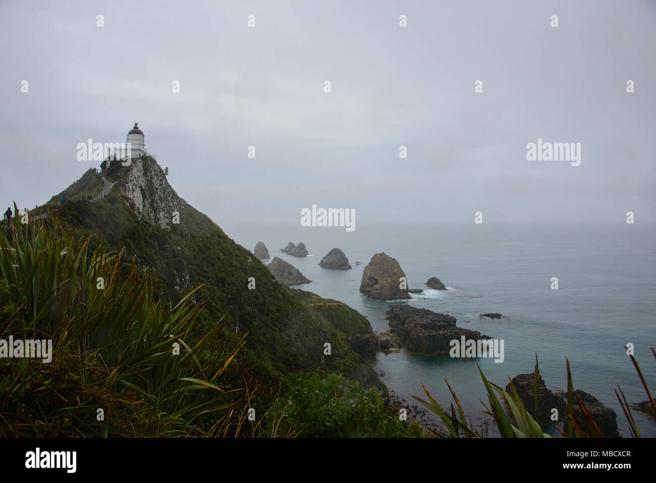 Nugget Point Lighthouse, der Catlins Neuseeland Stockfoto