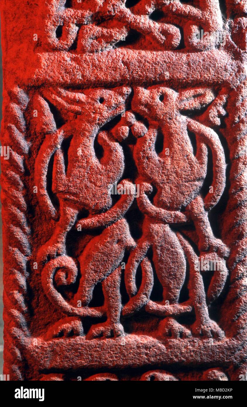 Monster mit verketteten Schwänze. Flachrelief auf einem Kreuz stumpf in Skipton Pfarrkirche. c. 8. Jahrhundert AD Stockfoto