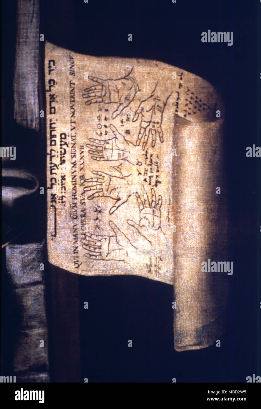 Handlesen - Tierkreiszeichen und kabbalistik Blick auf der Hand - Details der Handschrift im Öl Malerei des Chiromancer von Piero Della Vecchia (1605-78) in der Pinacoteca, Vicenza. - ©/CW Stockfoto