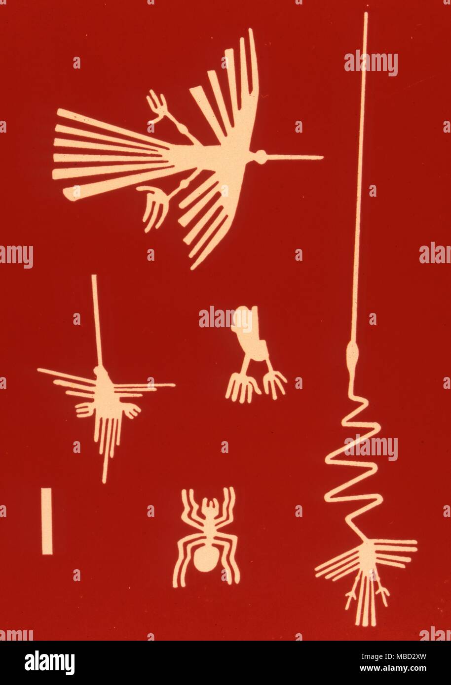 Nazca Linien. Peru. Darstellungen von Vögel und Tiere zu Skala von 100 ft, nach den Sand Zeichnungen der Nazca Kultur in der peruanischen Wüste. Stockfoto