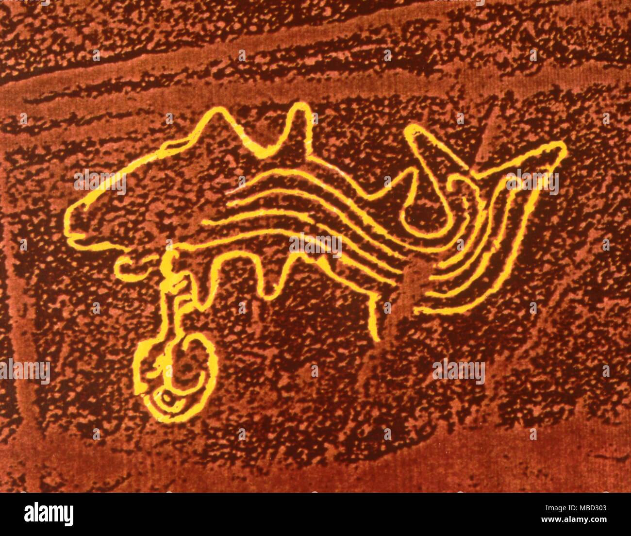Nazca Sand Zeichnung. Peru Computer erweiterte Bild von einem Fisch. Stockfoto