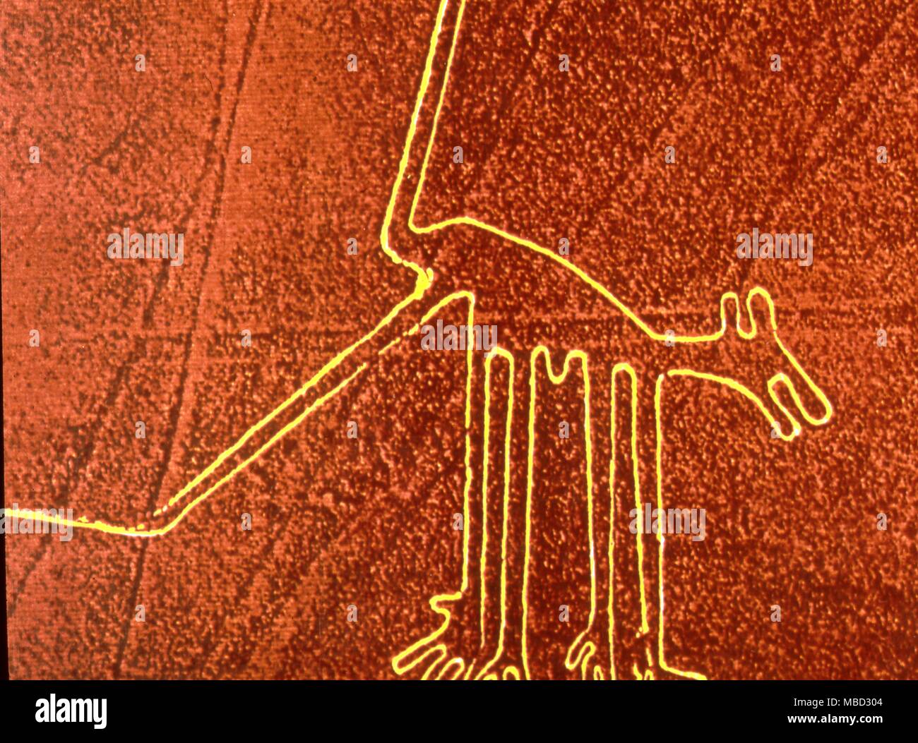 Nazca Linien. Peru. Computer erweiterte Bild eines Nazca sand Zeichnung eines Tieres. Stockfoto