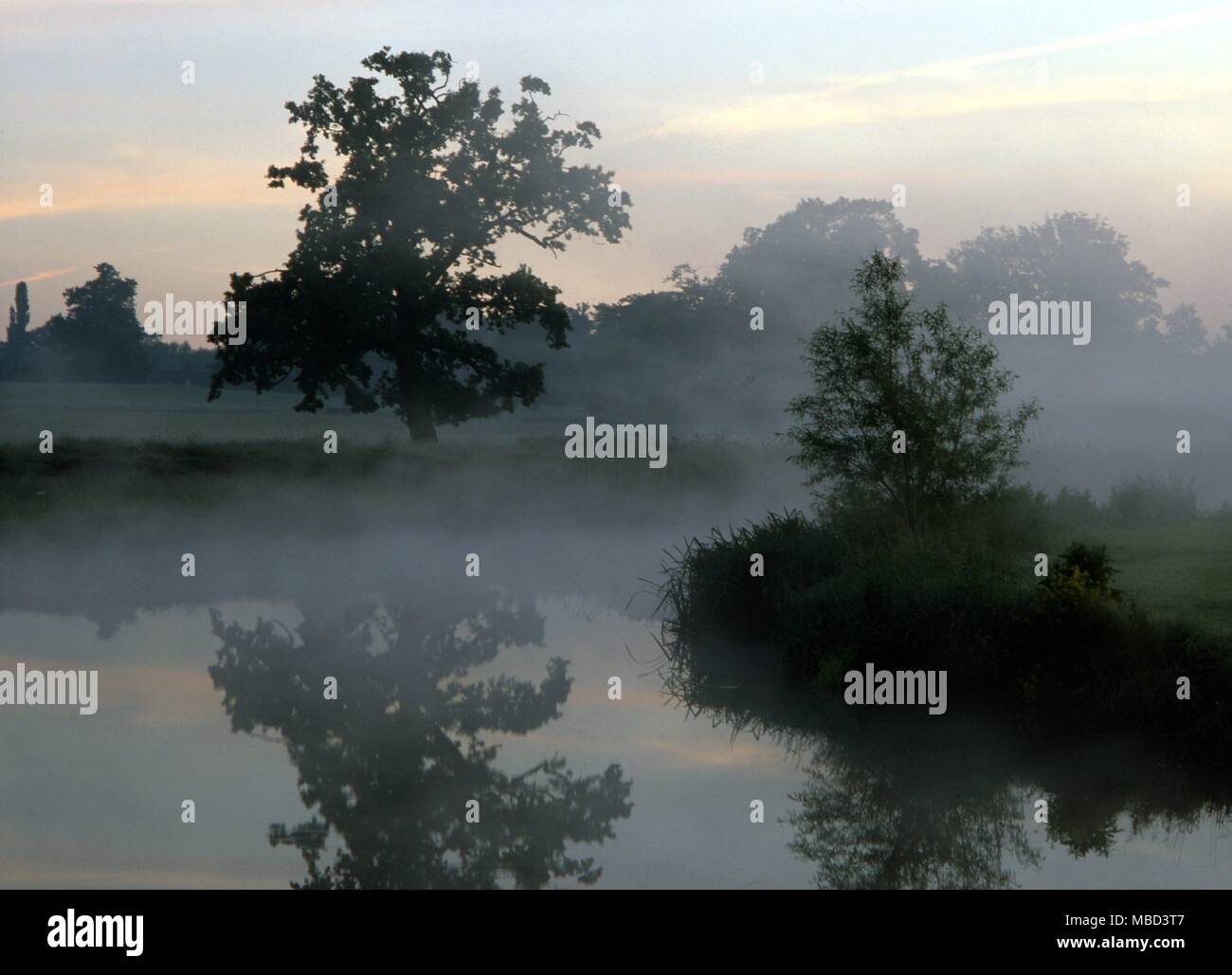 Stimmungen der Natur, Pfeil, Warwickshire © 2006 Charles Walker/ Stockfoto