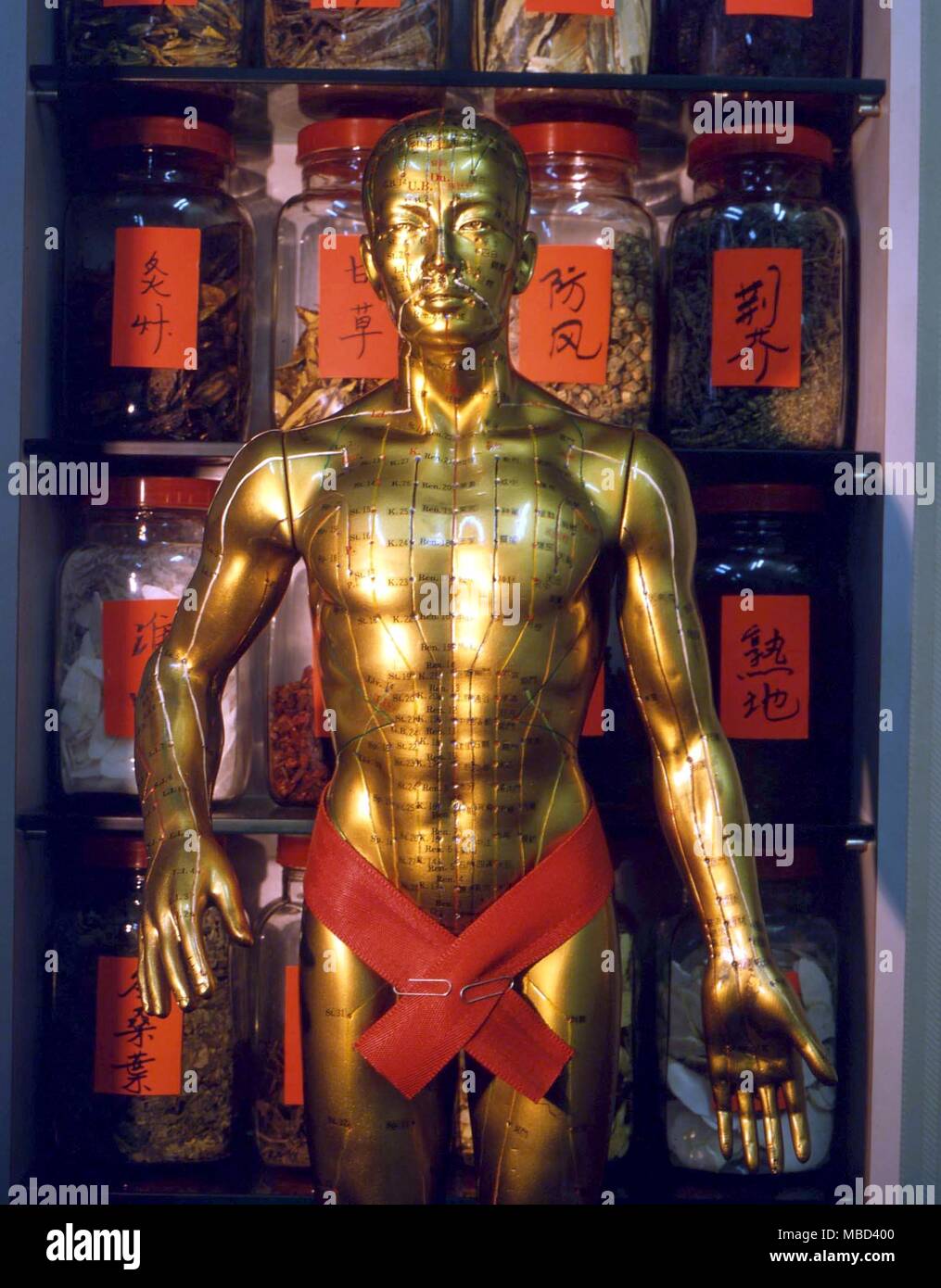 Akupunktur. Detail der Chinesischen dreidimensionale bronze Modell des "Akupunktur" zeigt die wichtigsten energie- und heilende Punkte. Private Akupunktur Klinik Drs. Chan, Mong und Ngam, Kowloon Stockfoto