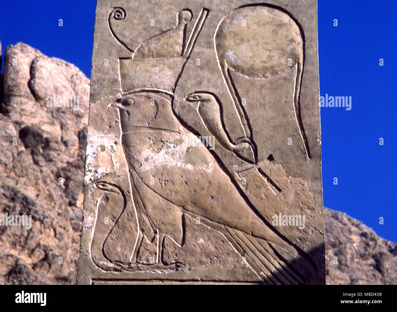 Mythologie - Ägyptischer Der gekrönte Falcon als Symbol des Horus, greifen in seinen Krallen den eroberten Prinzip der Finsternis, die Schlange. Von der Hathor Tempel in der Grabkunst Tempel der Königin Hapshepsut, Luxor. - ©/Charles Walker Stockfoto