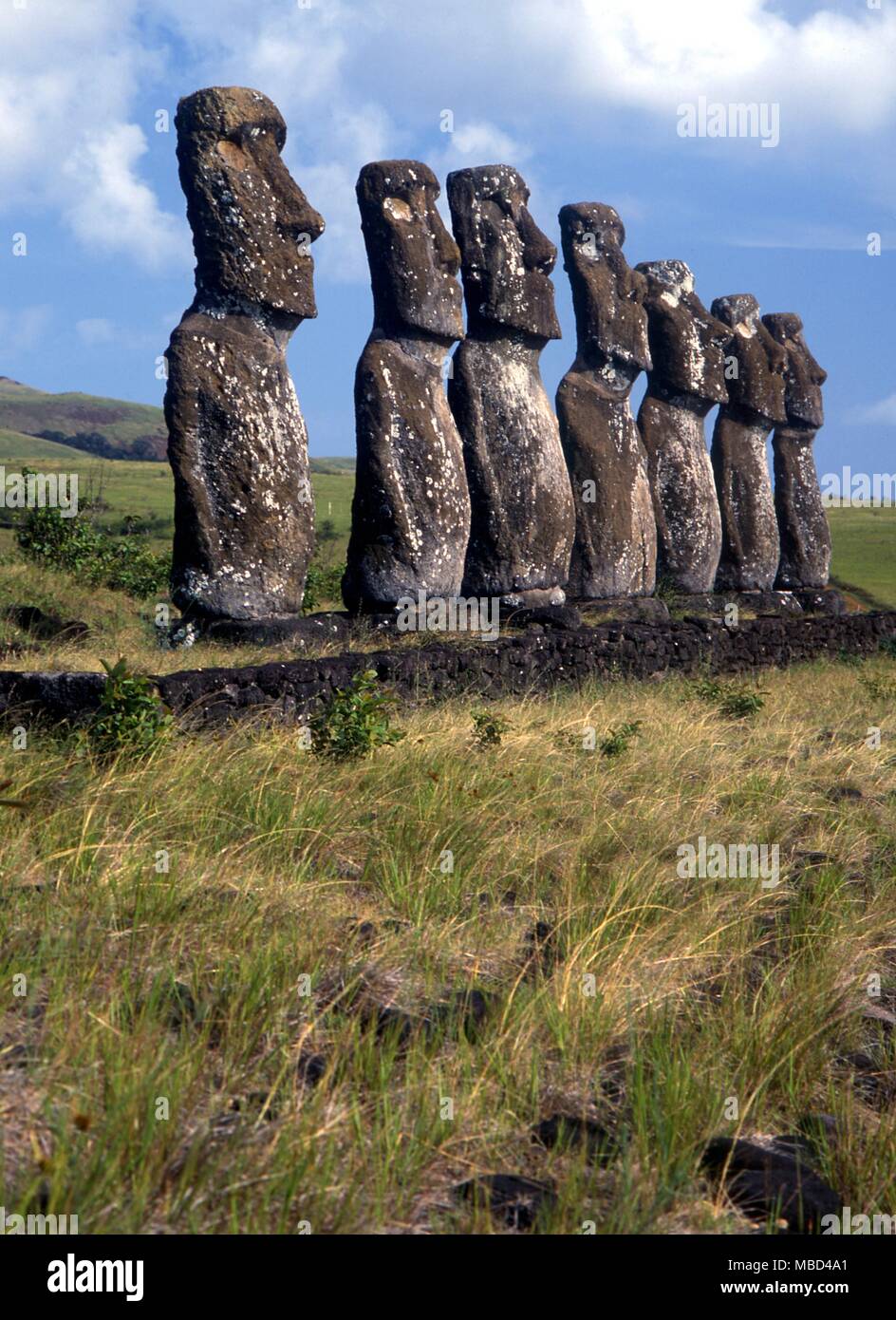 Die Osterinsel - Gruppe der megalithischen Statuen auf der Osterinsel. - ©/Charles Walker Stockfoto