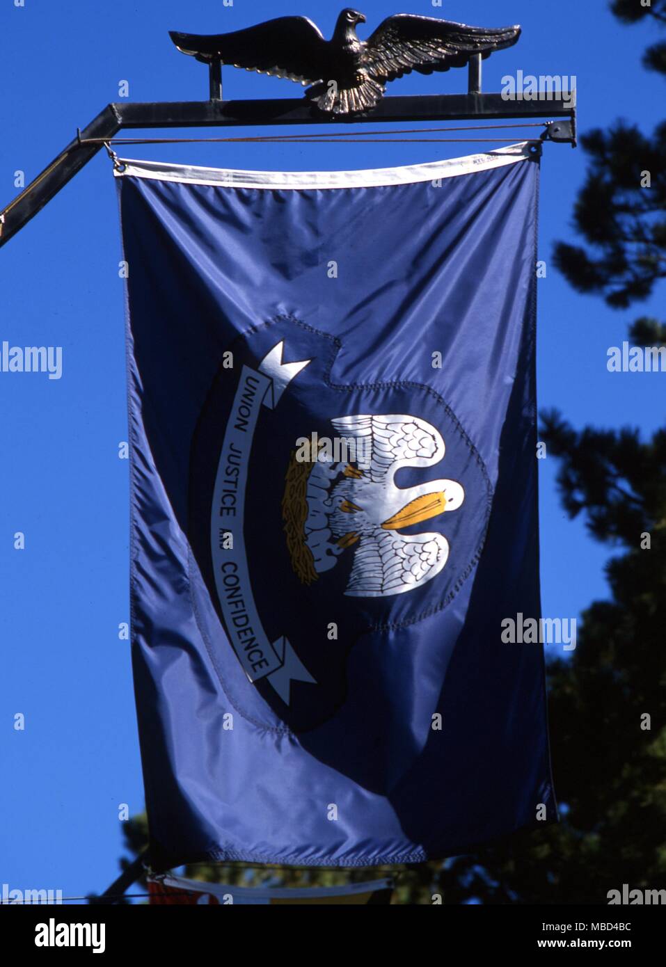 Flaggen - Flagge für Louisana, USA. - © Charles Walker/ Stockfoto