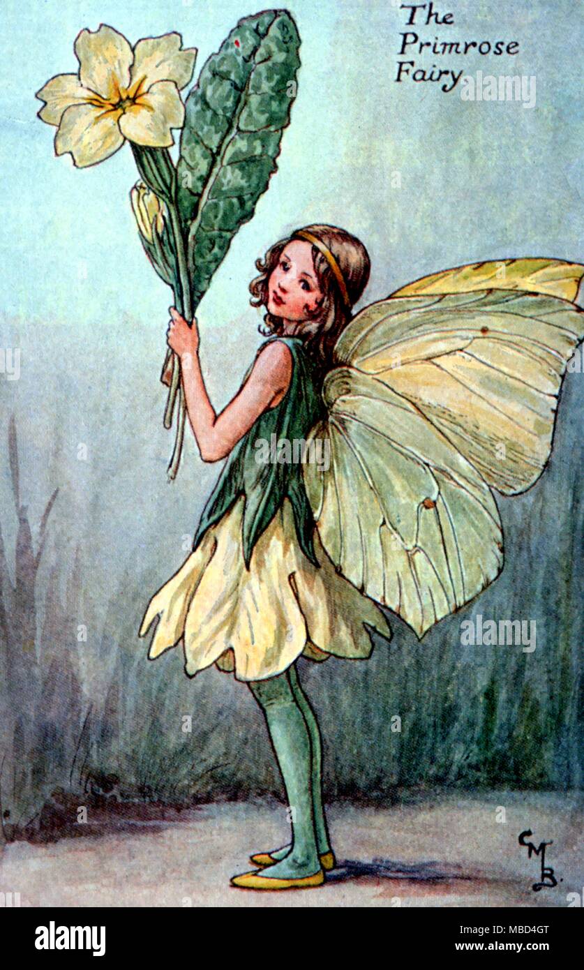 Die Primrose Fairy - von C.M.Barker's Spring Songs mit Musik, n.d., aber ca. 1920. - ©/CW Stockfoto
