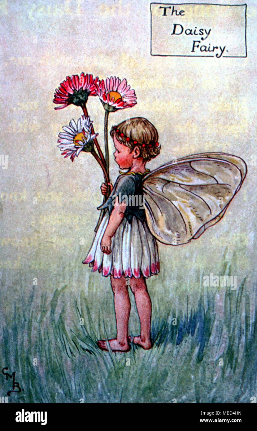 Der Daisy Fairy - von C.M.Barker's Spring Songs mit Musik, n.d., aber ca. 1920. - ©/CW Stockfoto