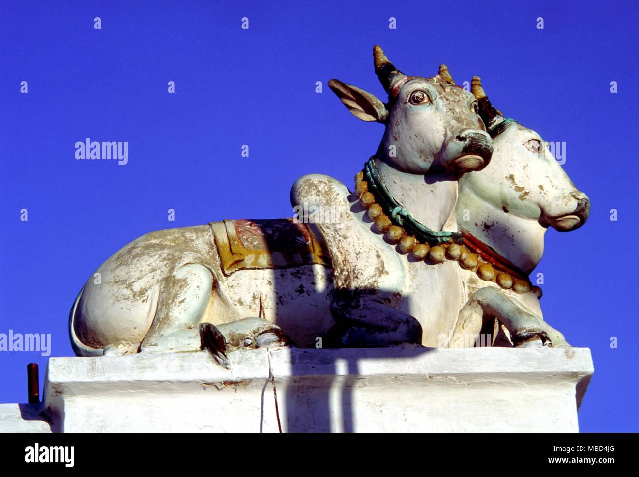 Hinduismus - der hinduistischen Mythologie - der Stier Nandi - Bild von Nandi der Stier auf der hinduistische Tempel des Kaapaleeshwara in Madras - ©/CW Stockfoto