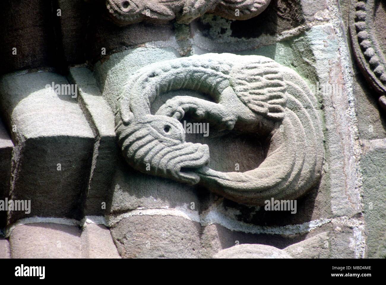 Drachen - Ouroboros, die Schlange Ouroboros Drachen, oder Schlange - ein mittelalterliches Symbol der Zeit (verschlingende sogar selbst). An der Tür des Kilpeck Kirche. 12. Jahrhundert. ©/Charles Walker Stockfoto